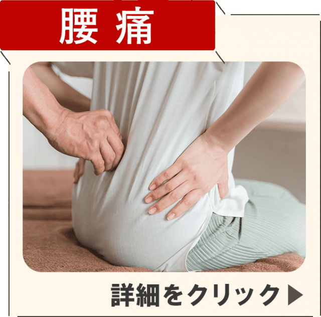腰痛症状ページを見る