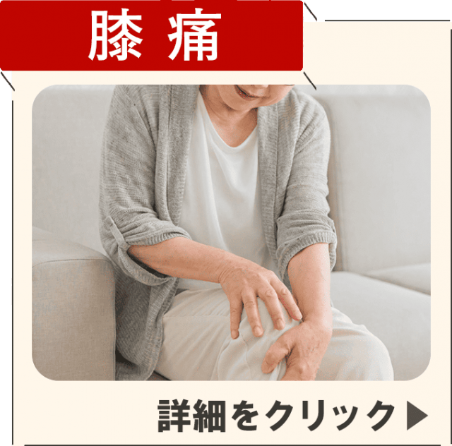 膝痛症状ページを見る